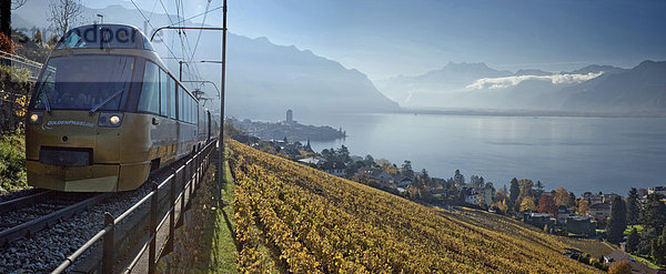 Panorama Europa Wein Fernverkehrsstraße See Zug Herbst Genfer See Genfersee Lac Leman Schweiz