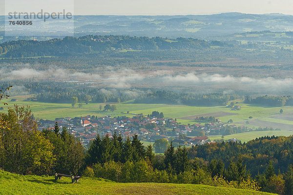 Europa  Nebel  Bayern  Chiemgau  Deutschland  Stimmung  Moor  Moos  Oberbayern
