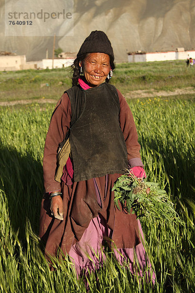 Portrait  Frau  Tradition  Mensch  Feld  Kostüm - Faschingskostüm  Ethnisches Erscheinungsbild  Asien  Kleid  Indien  Ladakh
