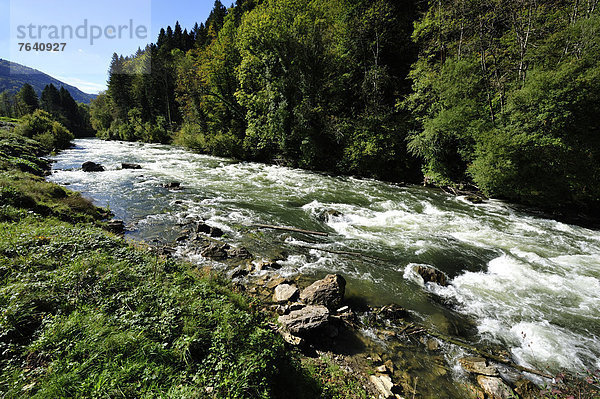 Fluss Wildwasser Schweiz