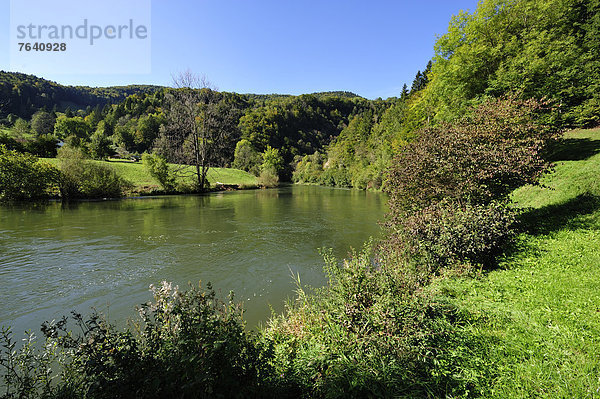 Fluss Herbst Schweiz