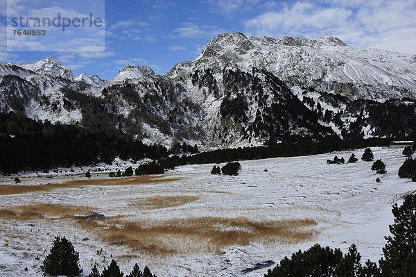 Berg Alpen Sumpf Schnee Schweiz