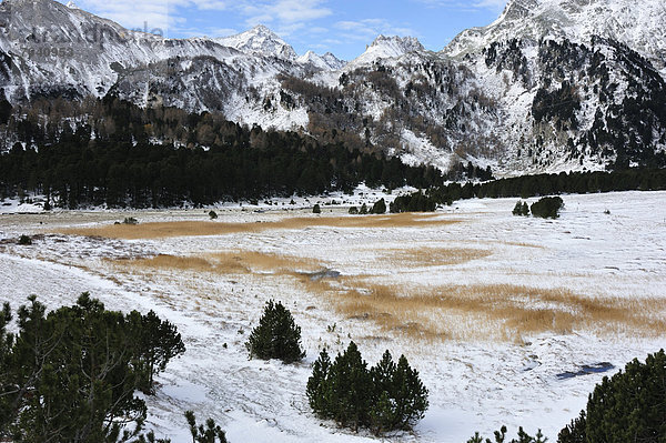 Berg Alpen Sumpf Schnee Schweiz