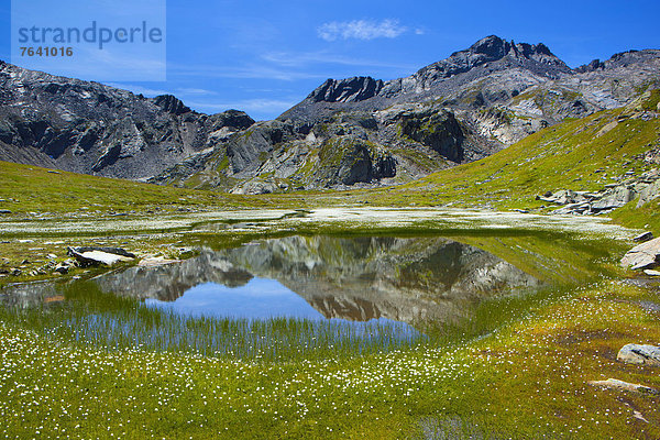 Landschaftlich schön landschaftlich reizvoll Europa Blüte Wollgras Schweiz