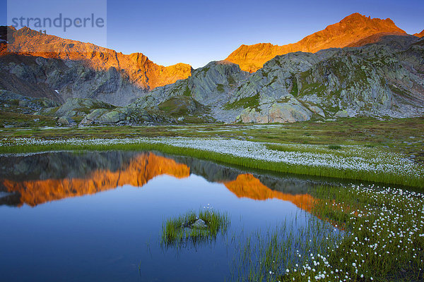 Landschaftlich schön landschaftlich reizvoll Europa Blüte Wollgras Schweiz Morgenstimmung