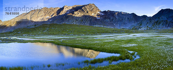 Landschaftlich schön landschaftlich reizvoll Europa Blüte Wollgras Schweiz