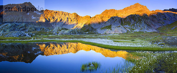Landschaftlich schön landschaftlich reizvoll Europa Blüte Wollgras Schweiz Morgenstimmung