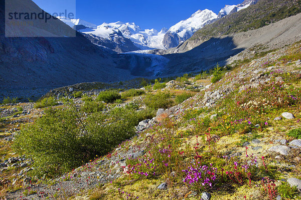 Europa Kanton Graubünden Engadin Schweiz