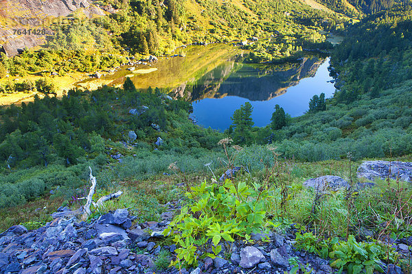 Naturschutzgebiet Europa Landschaft See Holz Bergsee Schweiz