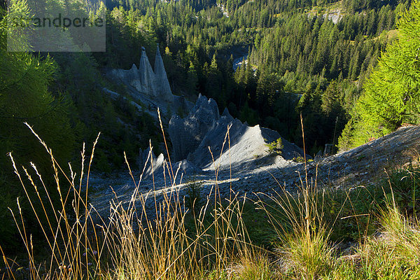 pyramidenförmig Pyramide Pyramiden Europa Wald Holz Kanton Graubünden Engadin Erosion Schweiz Unterengadin