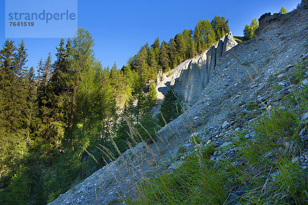 pyramidenförmig Pyramide Pyramiden Europa Wald Holz Kanton Graubünden Engadin Erosion Schweiz Unterengadin