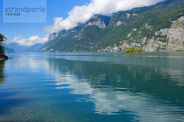 Europa Wolke Spiegelung See Insel Schweiz Walensee
