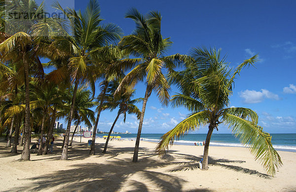 leer  Strand  Küste  niemand  Meer  Karibik  Puerto Rico  Sandstrand  Antillen  Große Antillen  Palmenstrand  San Juan