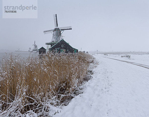 Windturbine  Windrad  Windräder  Wasser  Europa  Winter  Eis  Fluss  Feld  Wiese  Niederlande  Schnee