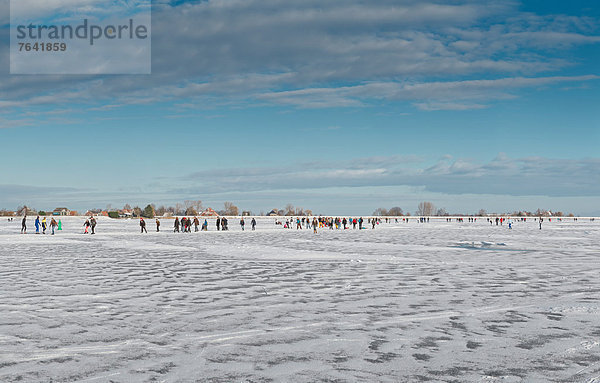 Inlineskater  Wasser  Europa  Schnee  Winter  Mensch  Menschen  Landschaft  Eis  Niederlande  gefroren