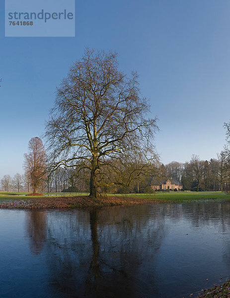 Wasser  Europa  Winter  Palast  Schloß  Schlösser  Baum  Niederlande  Gelderland