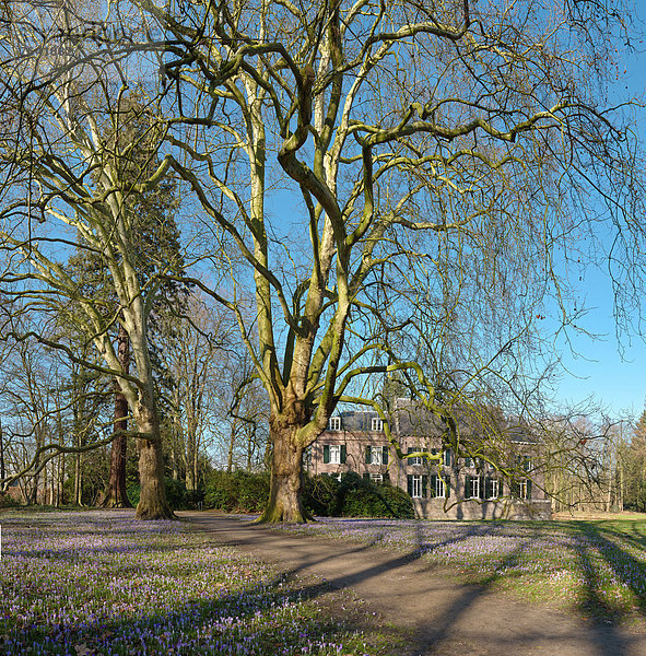 Europa  Blume  Palast  Schloß  Schlösser  Baum  Garten  Niederlande  Nordbrabant