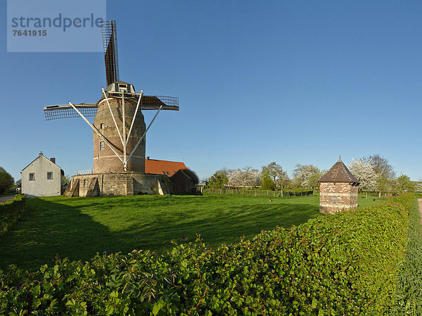 Windturbine  Windrad  Windräder  Europa  Feld  Wiese  Niederlande  Limburg  Turmwindmühle