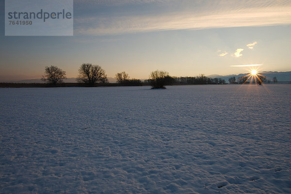 Europa  Winter  Landschaft  Sonnenaufgang  Österreich  Vorarlberg