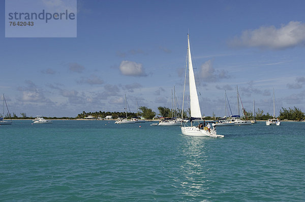 Segeln  Meer  Yacht  Insel  Karibik  Britische Jungferninseln  Virgin Islands