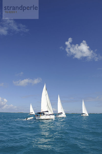 Segeln  Meer  Yacht  Insel  Karibik  Britische Jungferninseln  Virgin Islands