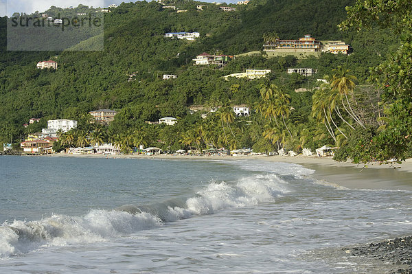 Strand  Küste  Insel  Karibik  Britische Jungferninseln  Tortola  Virgin Islands