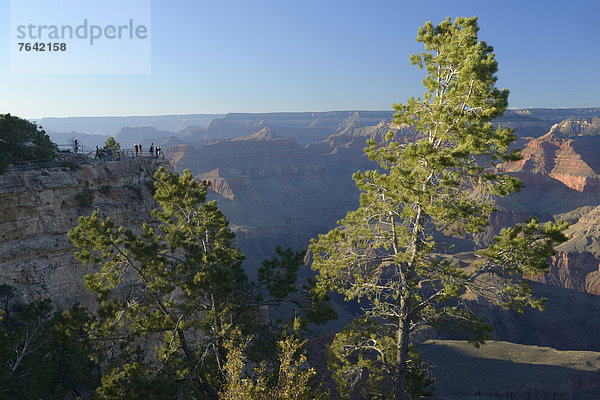 Vereinigte Staaten von Amerika  USA  Nationalpark  Landschaft  Amerika  Wunder  Natur  Nordamerika  Arizona  Süden  Grand Canyon  UNESCO-Welterbe  South Rim  Williams