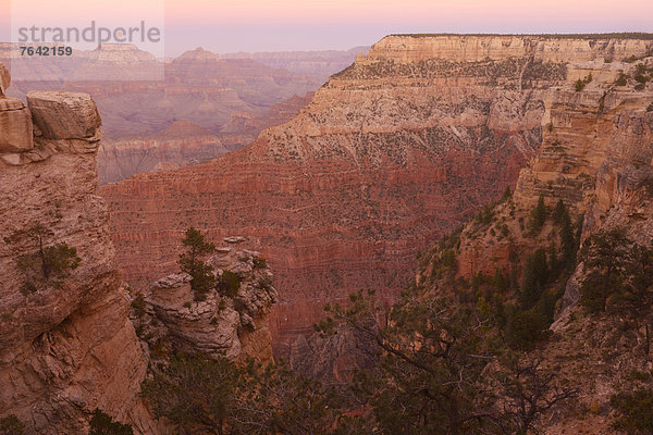 Vereinigte Staaten von Amerika  USA  Nationalpark  Landschaft  Amerika  Glut  Wunder  Natur  Nordamerika  pink  Arizona  Süden  Grand Canyon  UNESCO-Welterbe  South Rim  Williams