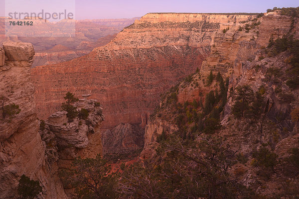 Vereinigte Staaten von Amerika  USA  Nationalpark  Landschaft  Amerika  Wunder  Reise  Natur  Nordamerika  Arizona  Süden  Grand Canyon  UNESCO-Welterbe  South Rim  Williams