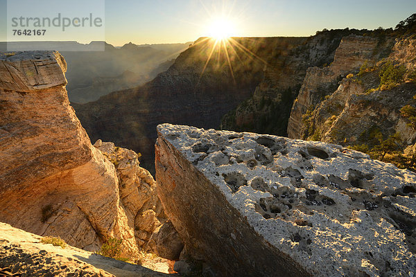 Vereinigte Staaten von Amerika  USA  Nationalpark  Landschaft  Amerika  Sonnenaufgang  Wunder  Natur  Nordamerika  Arizona  Süden  Grand Canyon  UNESCO-Welterbe  South Rim  Williams