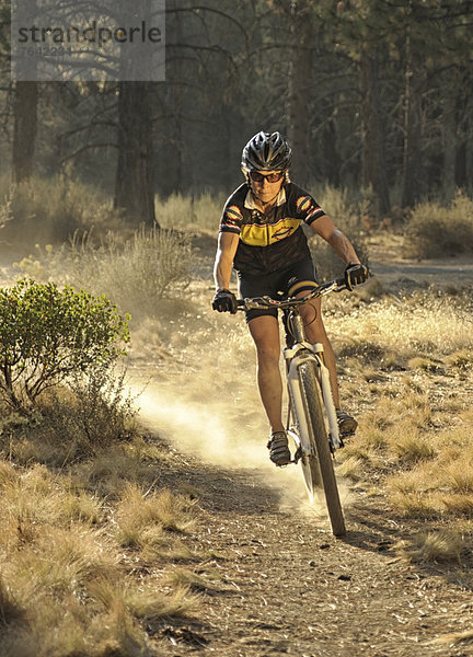 Vereinigte Staaten von Amerika  USA  Biegung  Biegungen  Kurve  Kurven  gewölbt  Bogen  gebogen  Frau  Amerika  radfahren  Fahrrad  Rad  Nordamerika  Außenaufnahme  Oregon  Sport