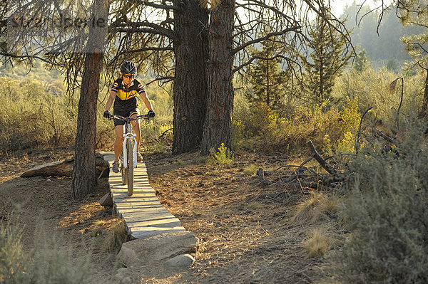 Vereinigte Staaten von Amerika  USA  Biegung  Biegungen  Kurve  Kurven  gewölbt  Bogen  gebogen  Frau  Amerika  radfahren  Fahrrad  Rad  Nordamerika  Außenaufnahme  Oregon  Sport