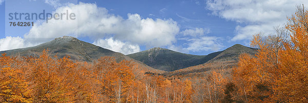 Vereinigte Staaten von Amerika  USA  Panorama  Farbaufnahme  Farbe  Landschaftlich schön  landschaftlich reizvoll  Ostküste  Amerika  niemand  Wald  Herbst  Nordamerika  Neuengland  New Hampshire