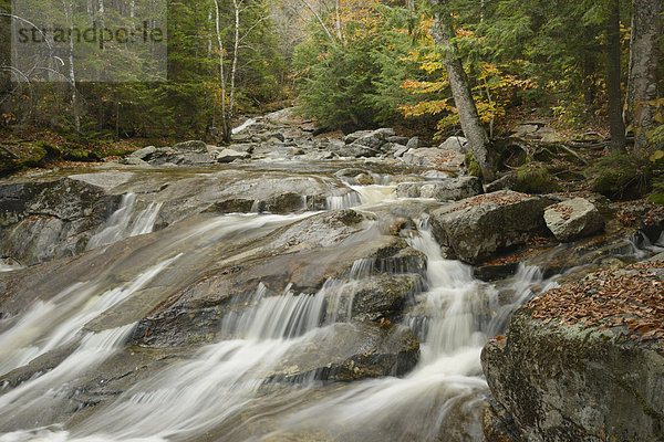 Vereinigte Staaten von Amerika  USA  State Park  Provincial Park  Ostküste  Amerika  Wald  Natur  Herbst  Nordamerika  Neuengland  New Hampshire