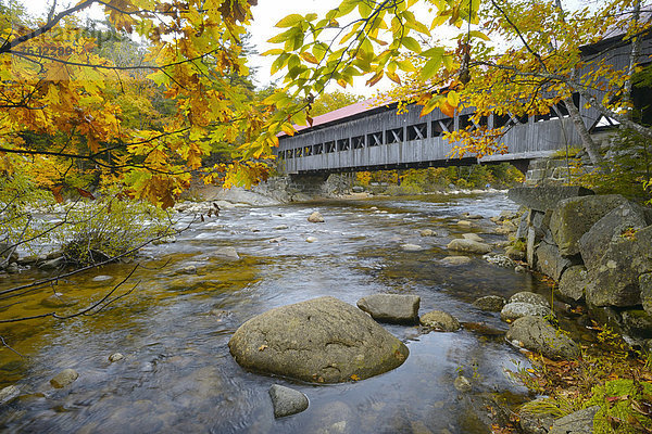 Vereinigte Staaten von Amerika  USA  Landschaftlich schön  landschaftlich reizvoll  Ostküste  Amerika  Wald  Fluss  Herbst  Nordamerika  Neuengland  Nebenstraße  New Hampshire