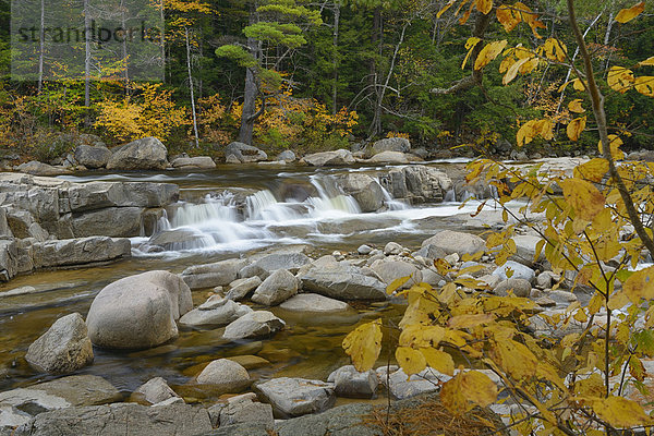 Vereinigte Staaten von Amerika USA Landschaftlich schön landschaftlich reizvoll Wasser Ostküste Amerika Wald Natur Fluss Herbst Nordamerika Wasserfall Neuengland Nebenstraße New Hampshire