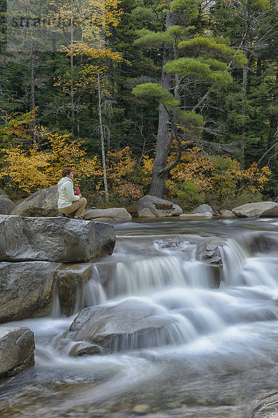 Vereinigte Staaten von Amerika USA Landschaftlich schön landschaftlich reizvoll Wasser Frau Ostküste Amerika Wald Natur Fluss Herbst Nordamerika Wasserfall Neuengland Außenaufnahme Nebenstraße Kolben New Hampshire