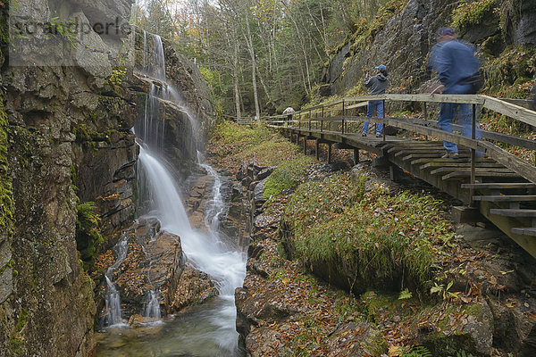 Stufe  Vereinigte Staaten von Amerika  USA  Wasser  Mensch  Ostküste  Amerika  Menschen  grün  Natur  fließen  wandern  Nordamerika  Wasserfall  Neuengland  Außenaufnahme  Schlucht  Moos  New Hampshire