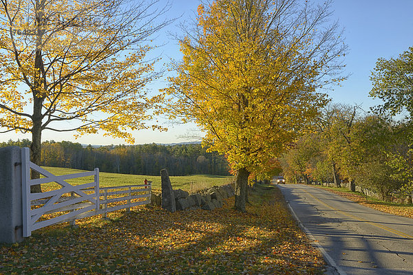 Vereinigte Staaten von Amerika USA Farbaufnahme Farbe Landschaftlich schön landschaftlich reizvoll Ostküste Amerika fahren Fernverkehrsstraße Dorf Herbst Nordamerika Bundesstraße Neuengland Laub New Hampshire