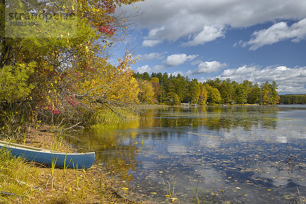 Vereinigte Staaten von Amerika  USA  Panorama  Ostküste  Amerika  Landschaft  See  Natur  Herbst  Nordamerika  Kanu  Neuengland  Laub  New Hampshire