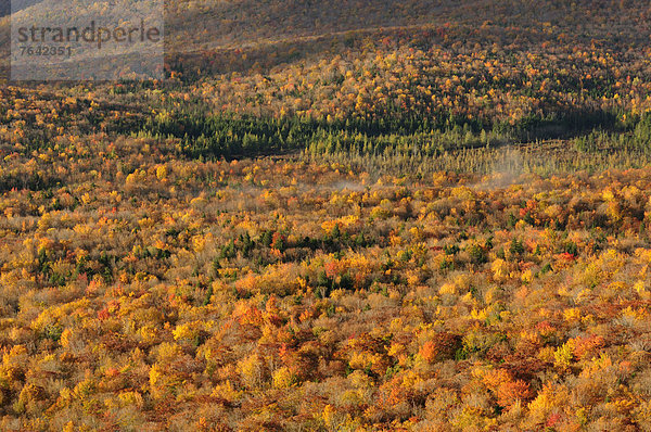 Vereinigte Staaten von Amerika  USA  Ostküste  Amerika  Wald  Natur  Fluss  Herbst  Nordamerika  Neuengland  Ansicht  Indian Head Cove Caves and Grotto  New Hampshire