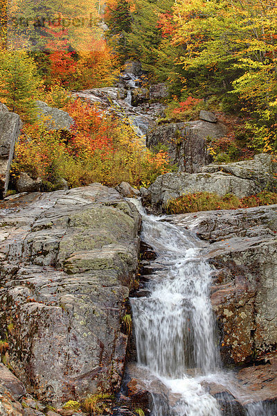 Vereinigte Staaten von Amerika USA Farbaufnahme Farbe Amerika gelb Landschaft grün Natur Fluss Herbst Bach Wasserfall rot Neuengland Außenaufnahme Jahreszeit Laub New Hampshire Wetter