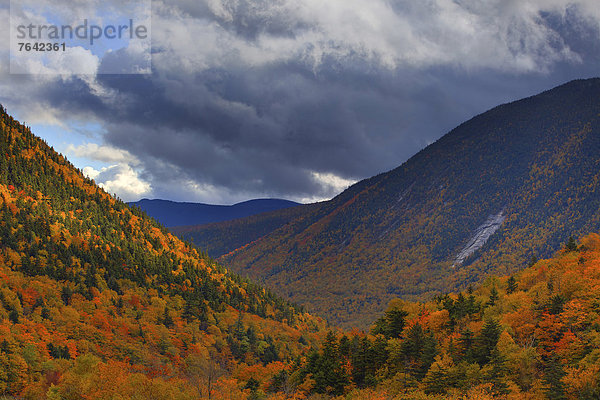 Vereinigte Staaten von Amerika USA Farbaufnahme Farbe Amerika gelb Landschaft grün Natur Herbst rot Neuengland Außenaufnahme Jahreszeit Laub New Hampshire Wetter