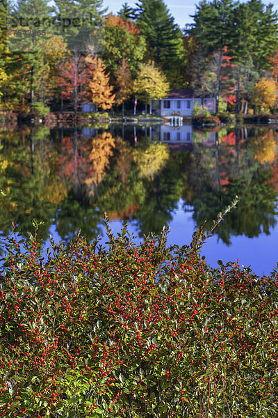 Vereinigte Staaten von Amerika USA Farbaufnahme Farbe Amerika gelb Landschaft grün See Natur Herbst rot Neuengland Außenaufnahme Jahreszeit Laub New Hampshire Wetter