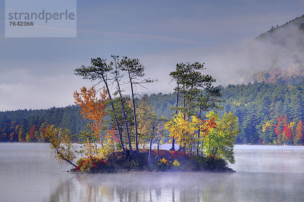 Vereinigte Staaten von Amerika USA Farbaufnahme Farbe Amerika gelb Landschaft grün See Natur Insel Herbst rot Neuengland Außenaufnahme Jahreszeit Laub New Hampshire Wetter