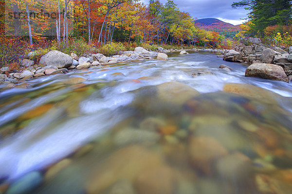 Vereinigte Staaten von Amerika USA Farbaufnahme Farbe Amerika gelb Landschaft grün Natur Fluss Herbst Strömung Bach rot Neuengland Außenaufnahme Jahreszeit Laub New Hampshire Wetter