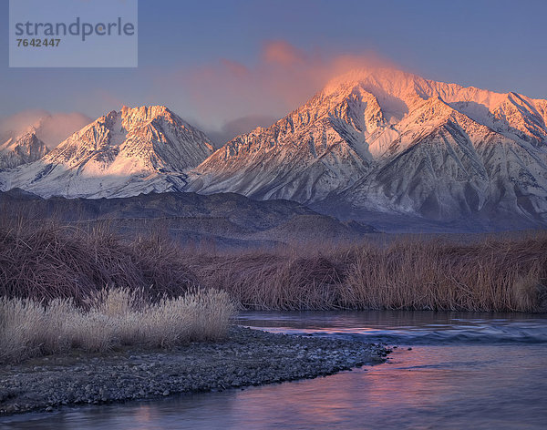 Vereinigte Staaten von Amerika  USA  Schneedecke  Berg  Winter  Amerika  Landschaft  Sonnenaufgang  Tal  Spiegelung  Fluss  Berggipfel  Gipfel  Spitze  Spitzen  Alpenglühen  Kalifornien  Laub  Owens River  Schnee