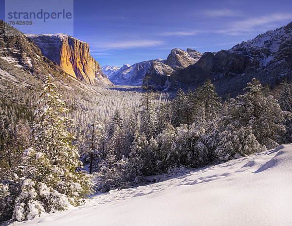 Vereinigte Staaten von Amerika  USA  Nationalpark  Winter  Amerika  Jahreszeit  Yosemite Nationalpark  Kalifornien  Schnee