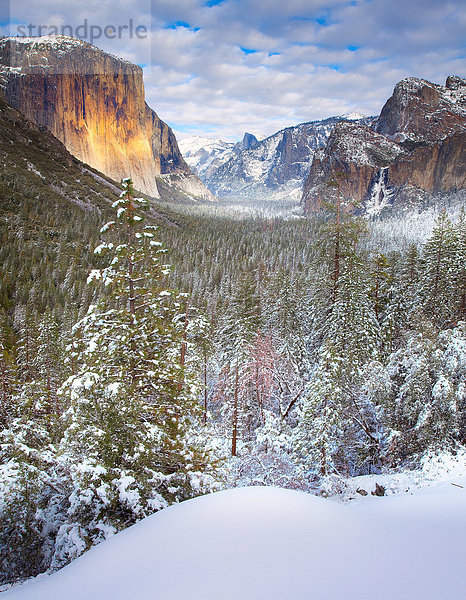 Vereinigte Staaten von Amerika  USA  Nationalpark  Winter  Amerika  Jahreszeit  Yosemite Nationalpark  Kalifornien  Schnee