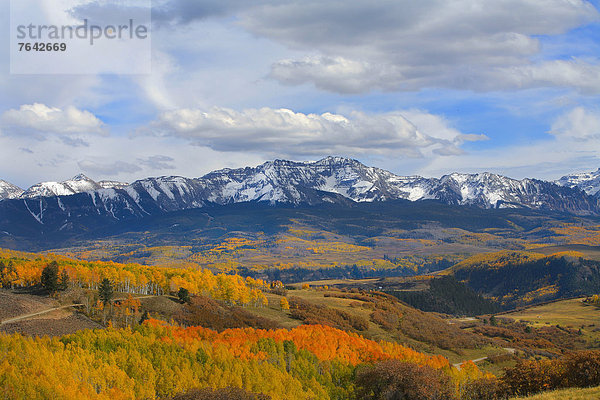 Vereinigte Staaten von Amerika  USA  Berg  Amerika  Herbst  Jahreszeit  Espe  Populus tremula  Rocky Mountains  Berggipfel  Gipfel  Spitze  Spitzen  Colorado  National Forest  Nationalforst